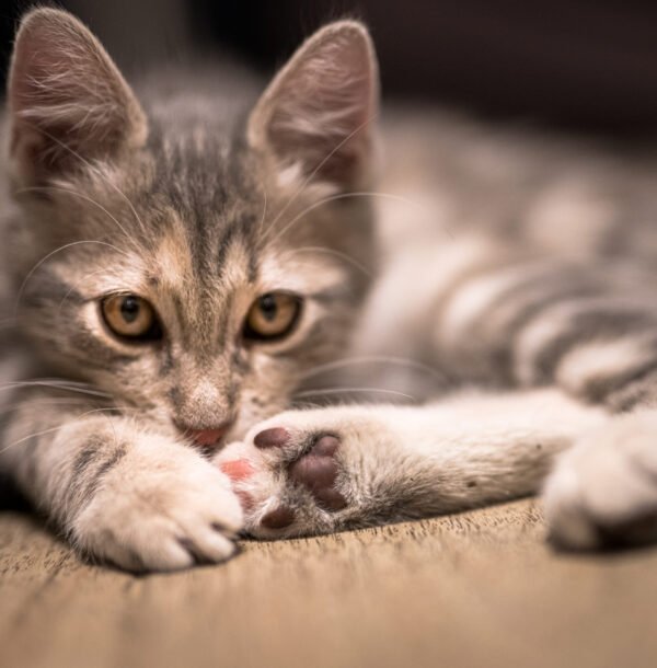 Tirage d'art sur carré 40 cm x 40 cm - Numérotée et signée