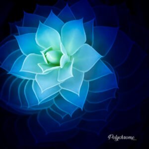 Tirage Photo poster Prenium carré 80 cm x 80 cm - Numérotée et signée