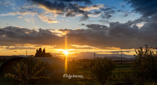 Tirage d'art sur Panoramique carré 120 cm x 60 cm - Numérotée et signée