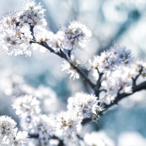 Tirage d'art sur Panoramique carré 120 cm x 60 cm - Numérotée et signée