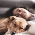 Chien et humain en train de faire la sieste