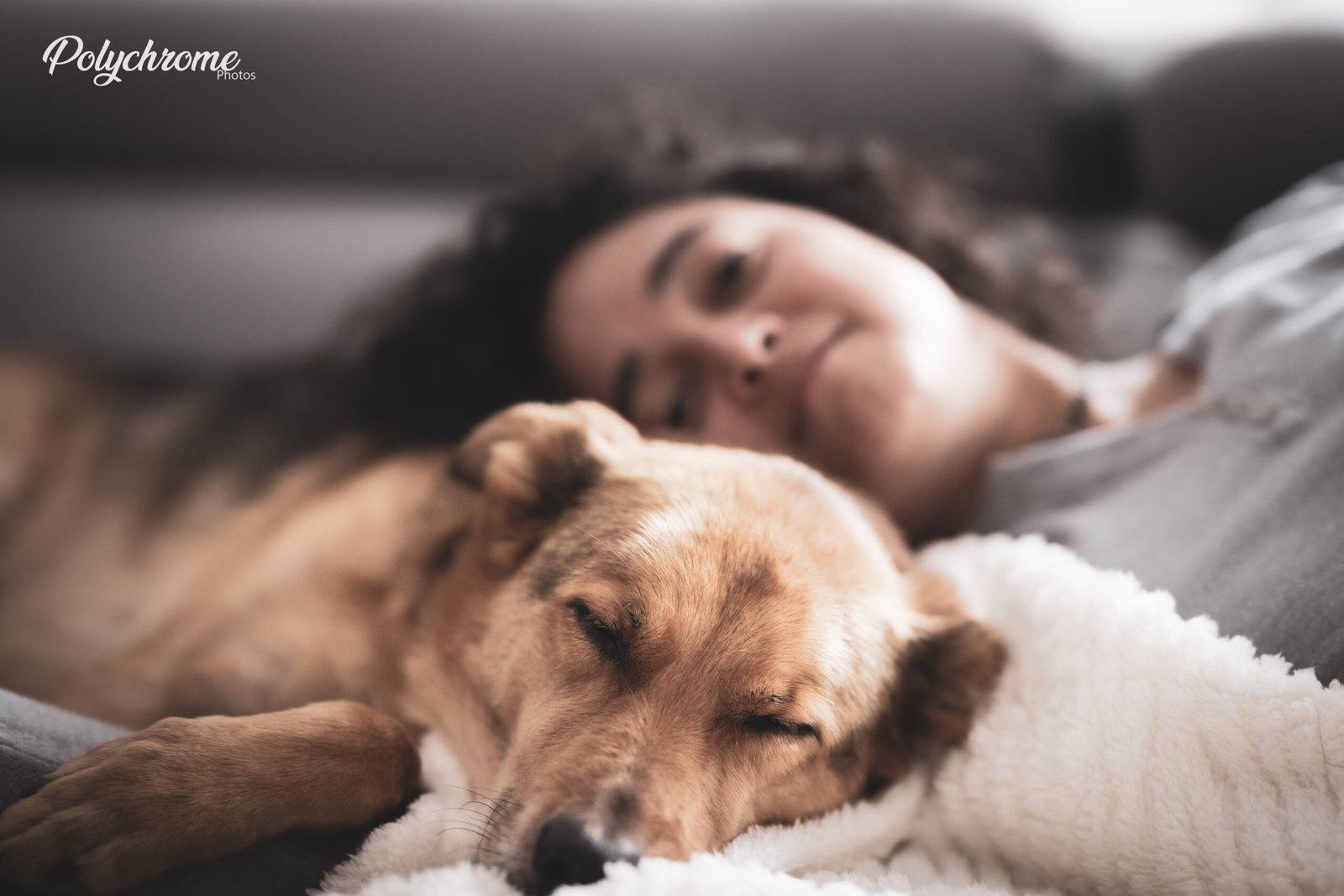 Fragments de meute : une séance photo douce dans une famille humain, chat et chien