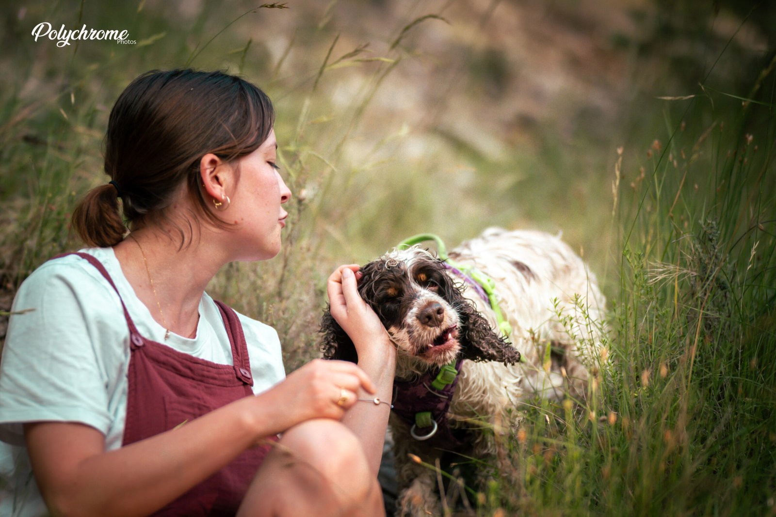 Portrait chien et humain - couleurs dorées