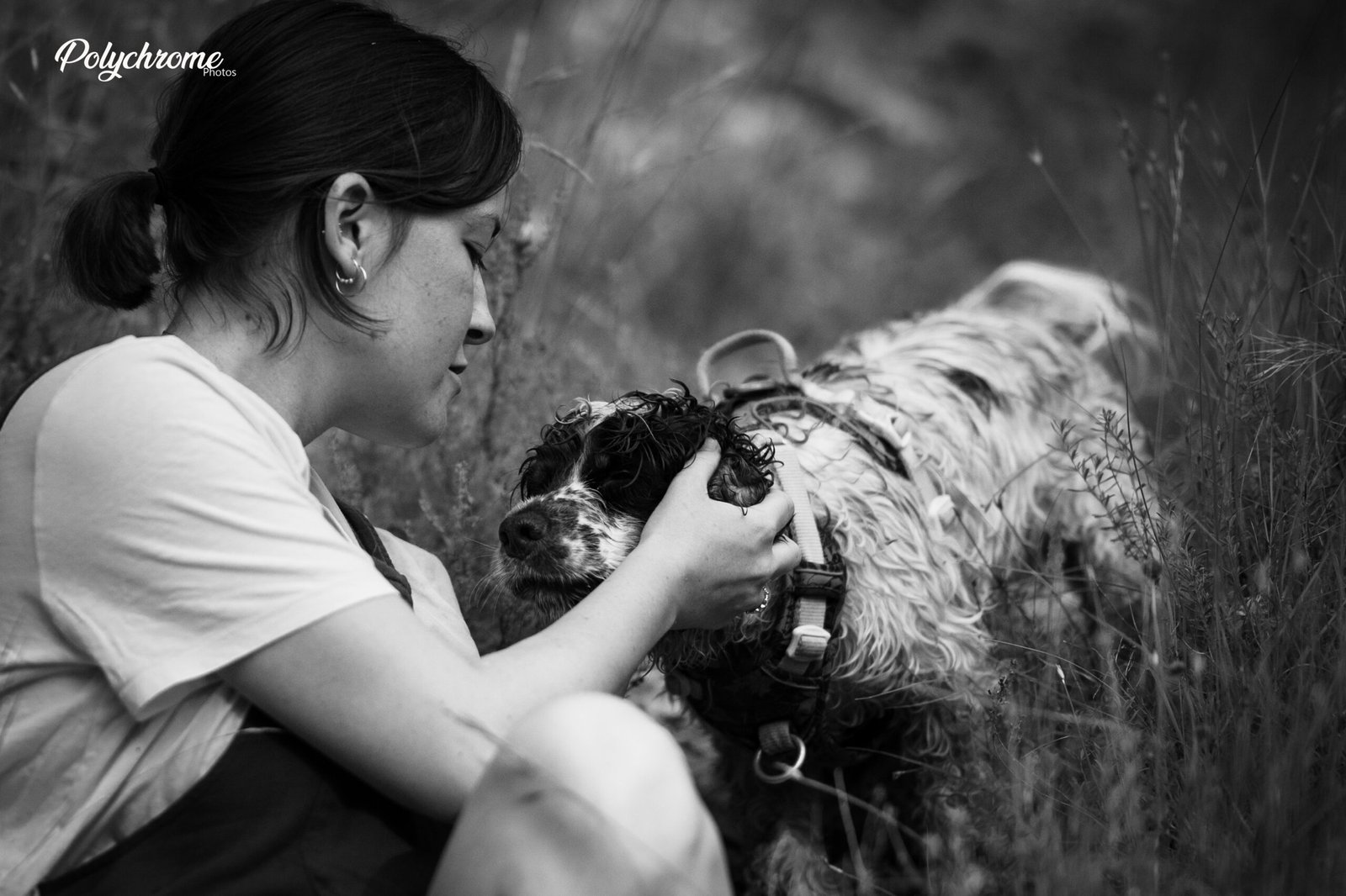 Moment de tendresse entre chien et humain