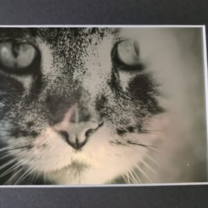 Impression Photo 15cm x 20cm  édition Luxury Digital METALLIC - NB avec pass Partout