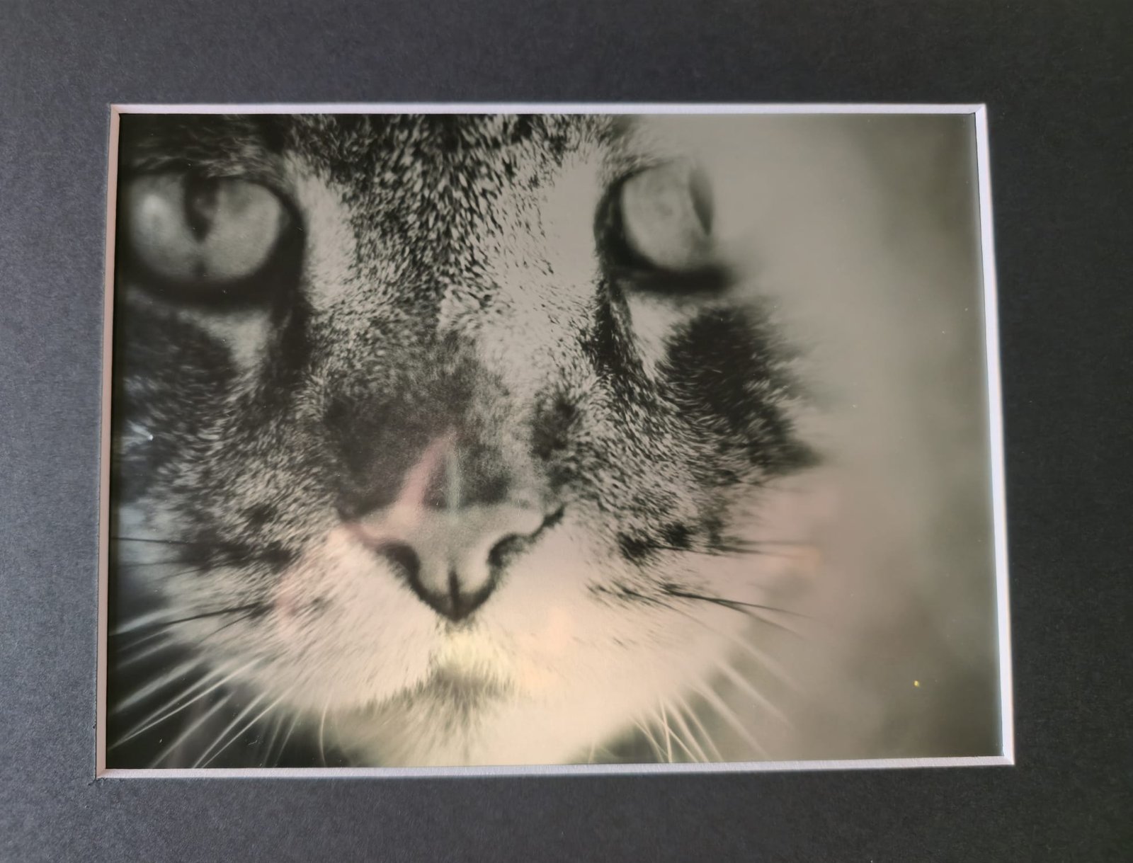 Impression Photo 15cm x 20cm édition Luxury Digital METALLIC - NB avec pass Partout